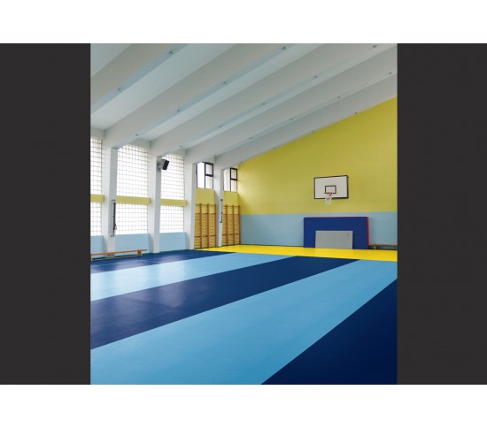 Напівкомерційний лінолеум LG Sport Leisure LES6400 - Висока якість за найкращою ціною в Україні зображення 2.